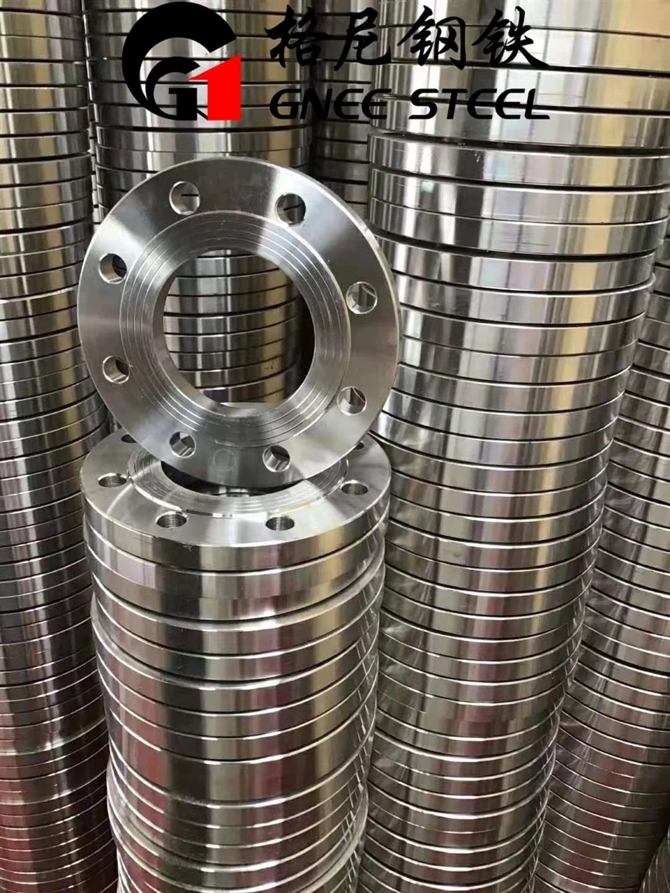 Stainless Steel Forged Raised Face Flange